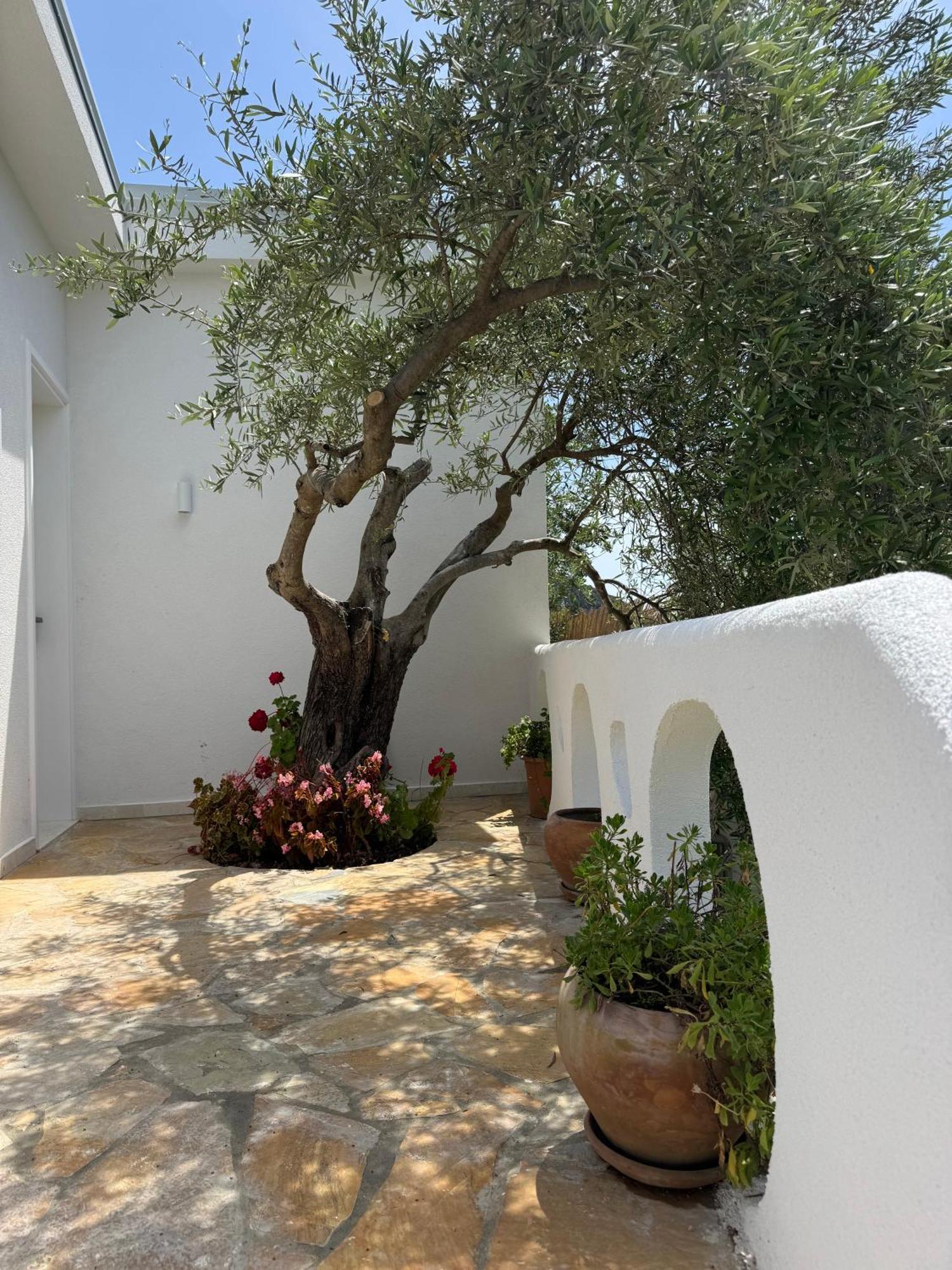 Alevra Hotel Dhermi Luaran gambar